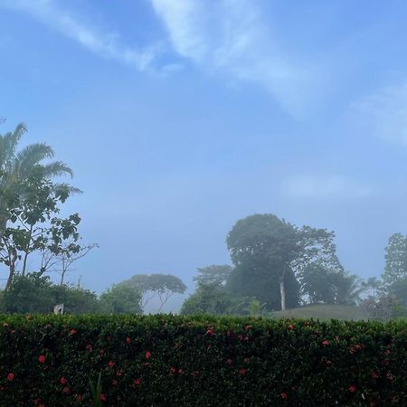 Valles Of Osa Palmar Sur Kültér fotó