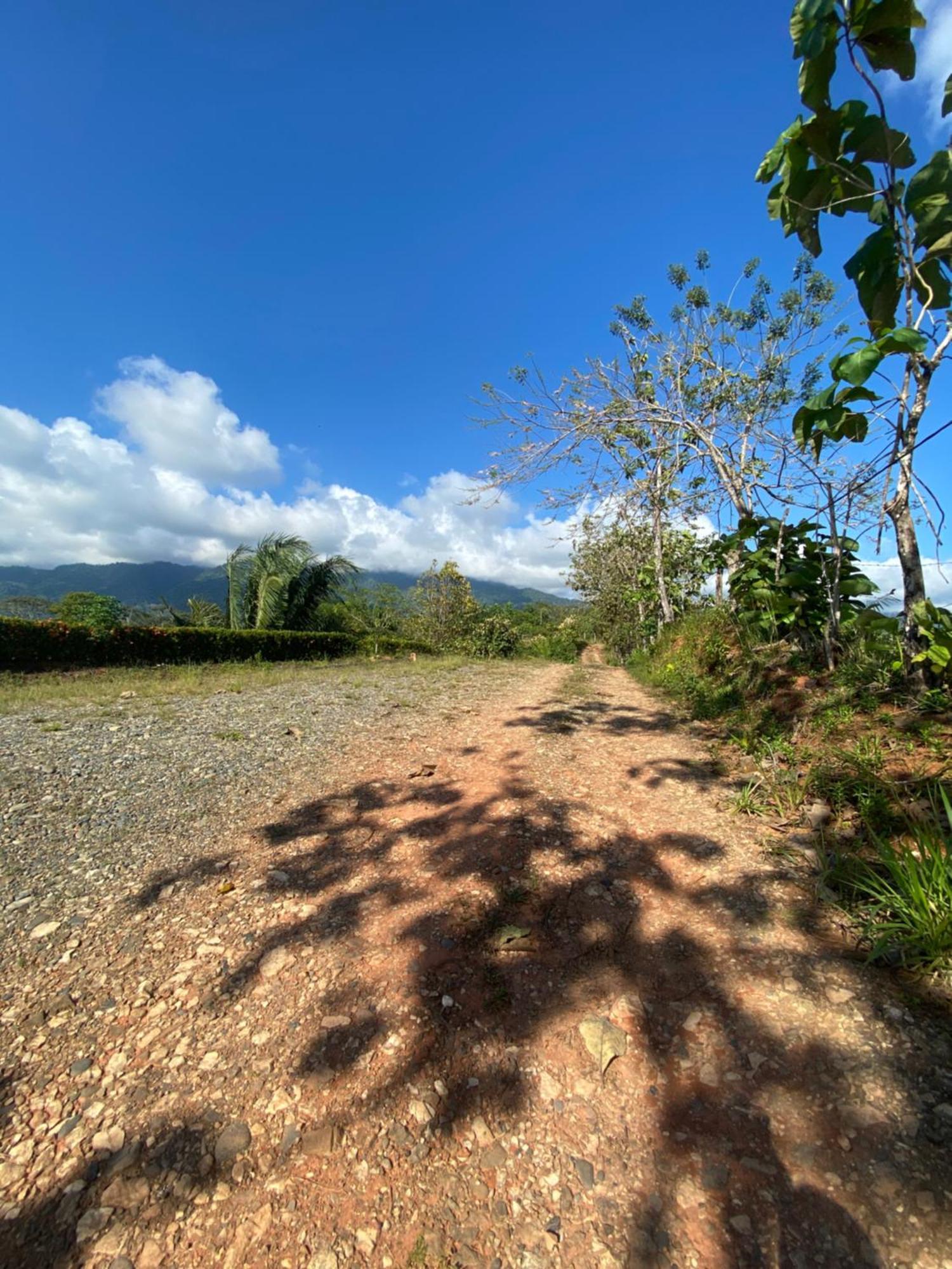 Valles Of Osa Palmar Sur Kültér fotó